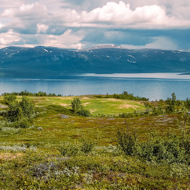 solig sommardag uppe p&aring; fj&auml;llet med Tornetr&auml;sk och molnbekl&auml;dda fj&auml;lltoppar som utsikt