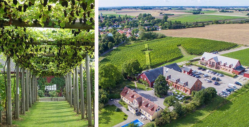 Foto: Flädie Mat & Vingård