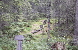 Svensk-norskt samarbete utvecklar värmländsk naturturism