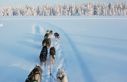 Viktig näring i Norrbotten hoppas på privat stöd