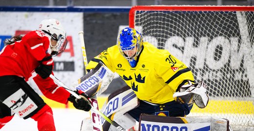 Vanliga ord och begrepp i målvaktsspel