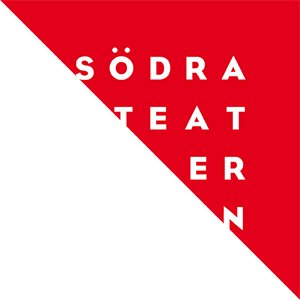 Utvecklingsinriktad VD