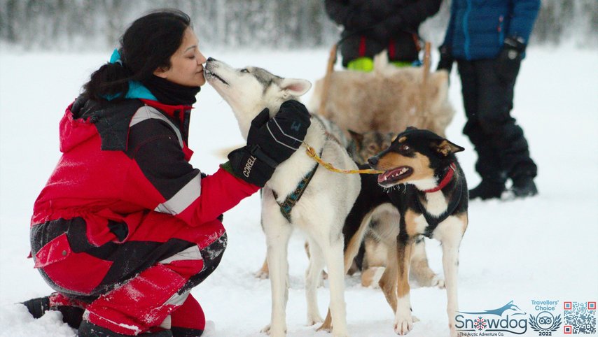 Snowdog Sunset zen husky tur