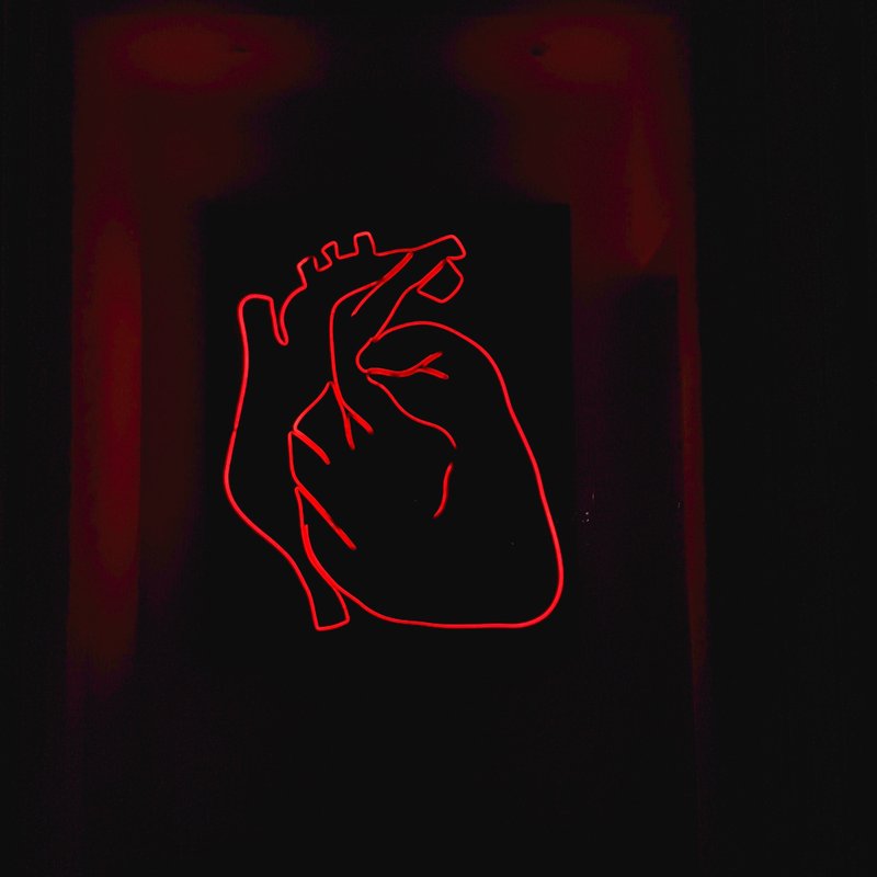 5 böcker med extra mycket hjärta