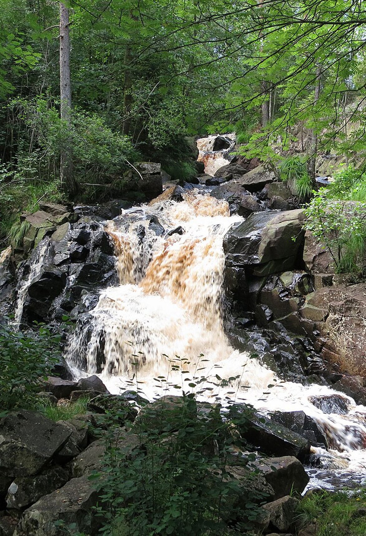 Bosgårdsfallet Torup