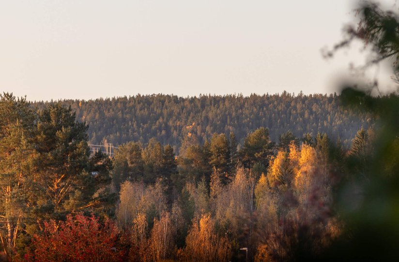 medlefors hotell och konferens