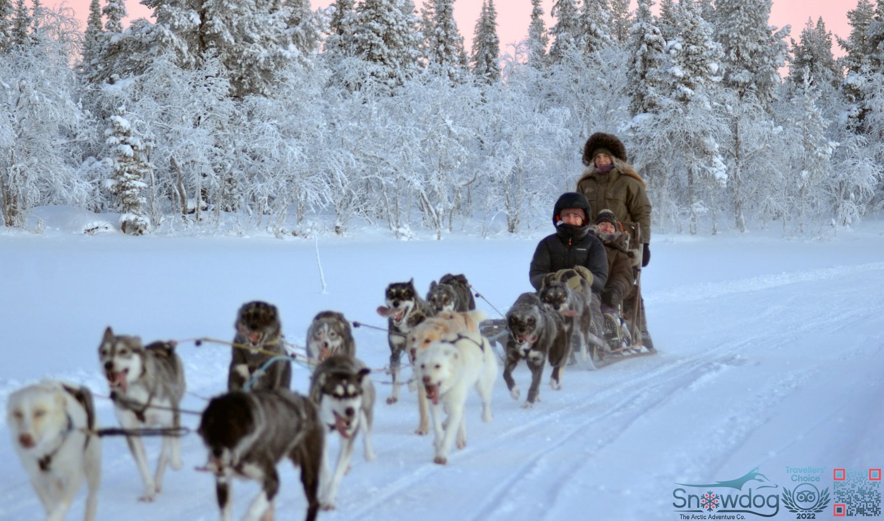 Snowdog Sunrise zen husky tour