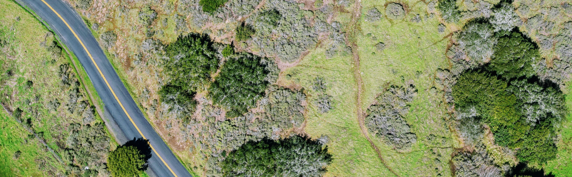 Ax:son Johnson Institute