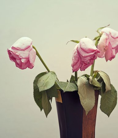 16 rörande romaner om sorg, saknad och förlust