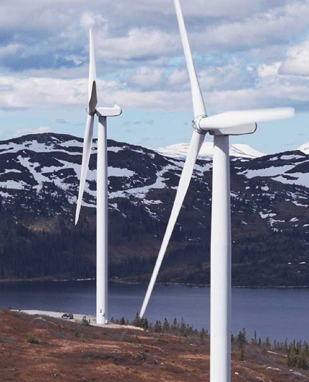 Flower, Locus Energy, case, Insights, wind power