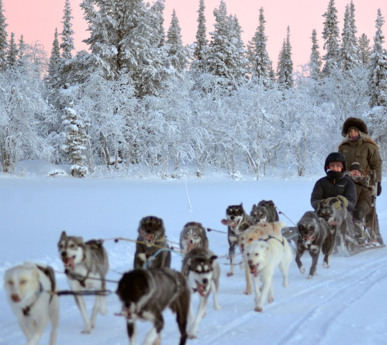 Snowdog Sunrise zen husky tour