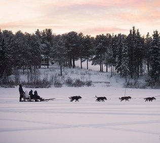 Snowdog Sunset zen husky tur