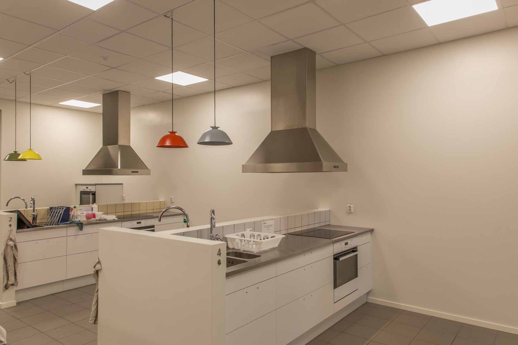 Part of modern communal kitchen: two cooking stations with stoves, ovens, sinks, stove fans.