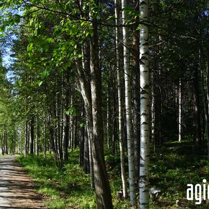 Går ni vilse i er egen data?