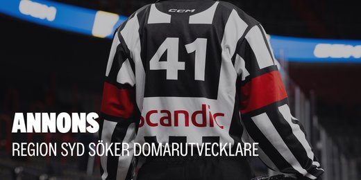 Region Syd söker domarutvecklare