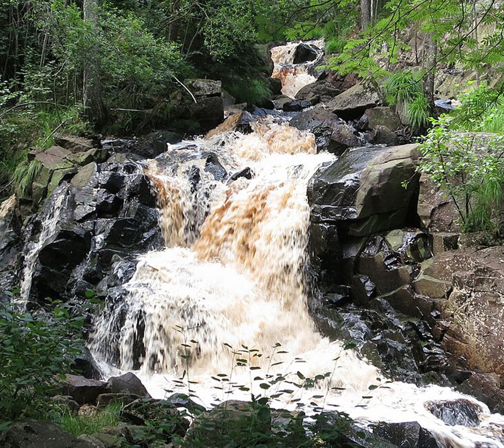 Bosgårdsfallet Torup