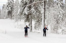 Mer vitt i Grönklitt