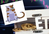 Daily crypto: CEO believes in bitcoin ETF within one year and cryptokitty sold for $172,000