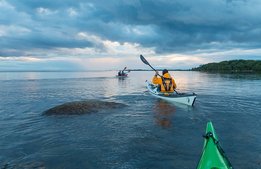 Satsning på naturturism ska lyfta Blekinge internationellt