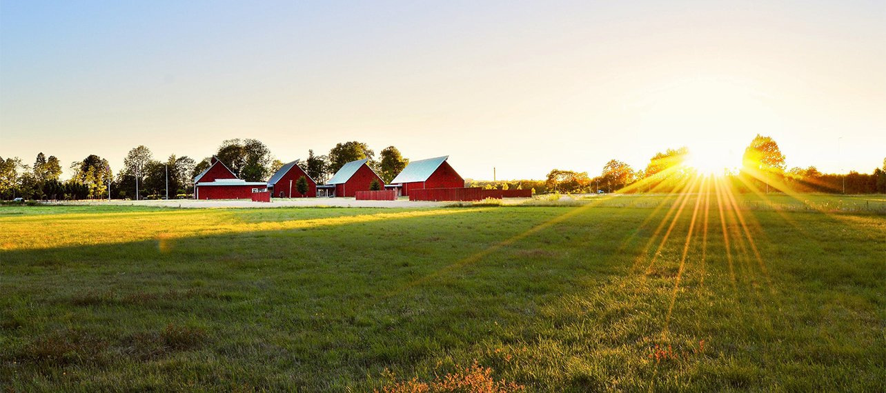 Solnedgång över åker och fyra röda småhus.