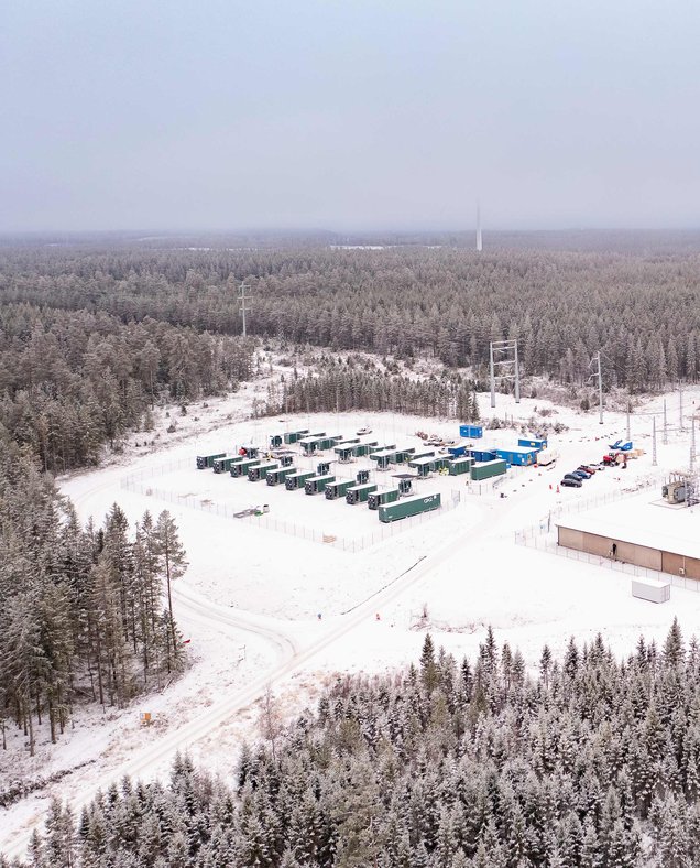 Grid tariff optimization: How to turn cost spikes into profit, Flower