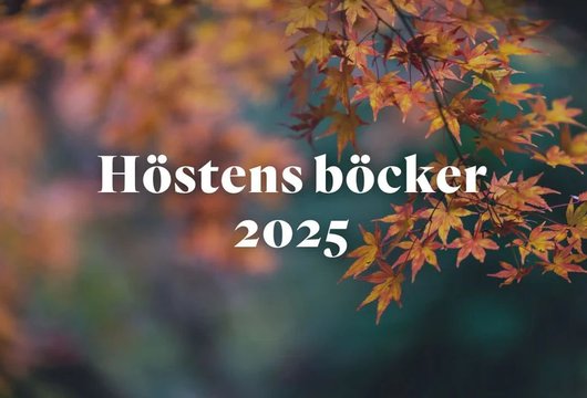 Bazar förlag höstens böcker 2025