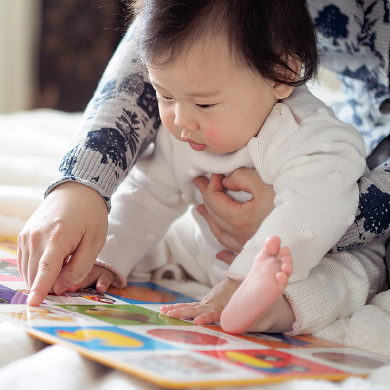 Barnets första bok! 12 läsupplevelser i miniformat