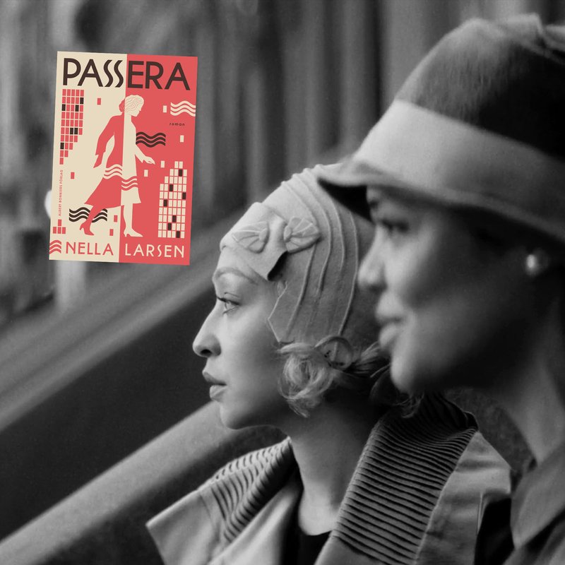 Nella Larsen på svenska - klassikernyhet som knappast <i>Passerar</i> obemärkt