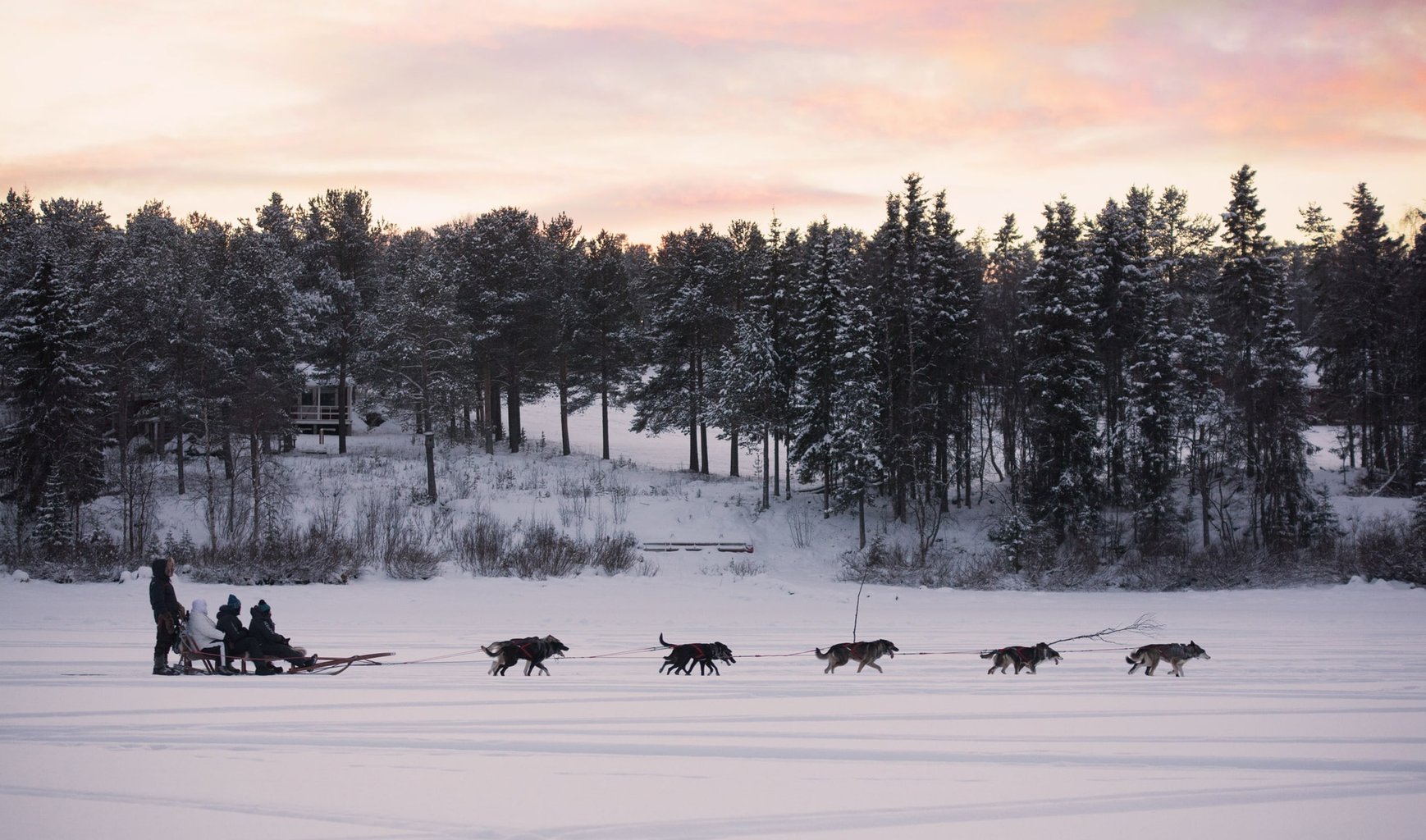 Snowdog Sunset zen husky tur