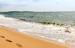 Ny rapport om besöksnäringens utmaningar: ”Vi har mycket att lära av andra”