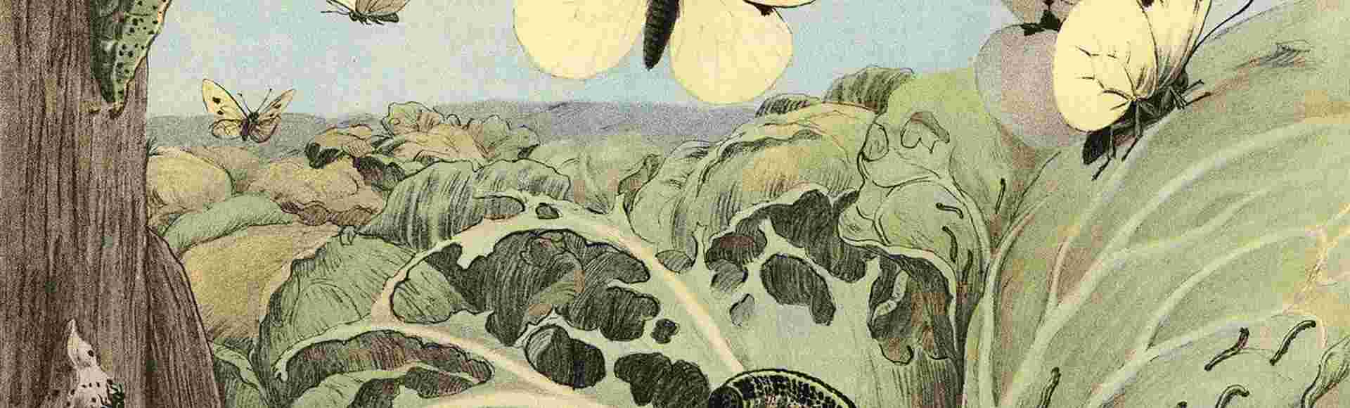 A print by Rasmus Christiansen.
