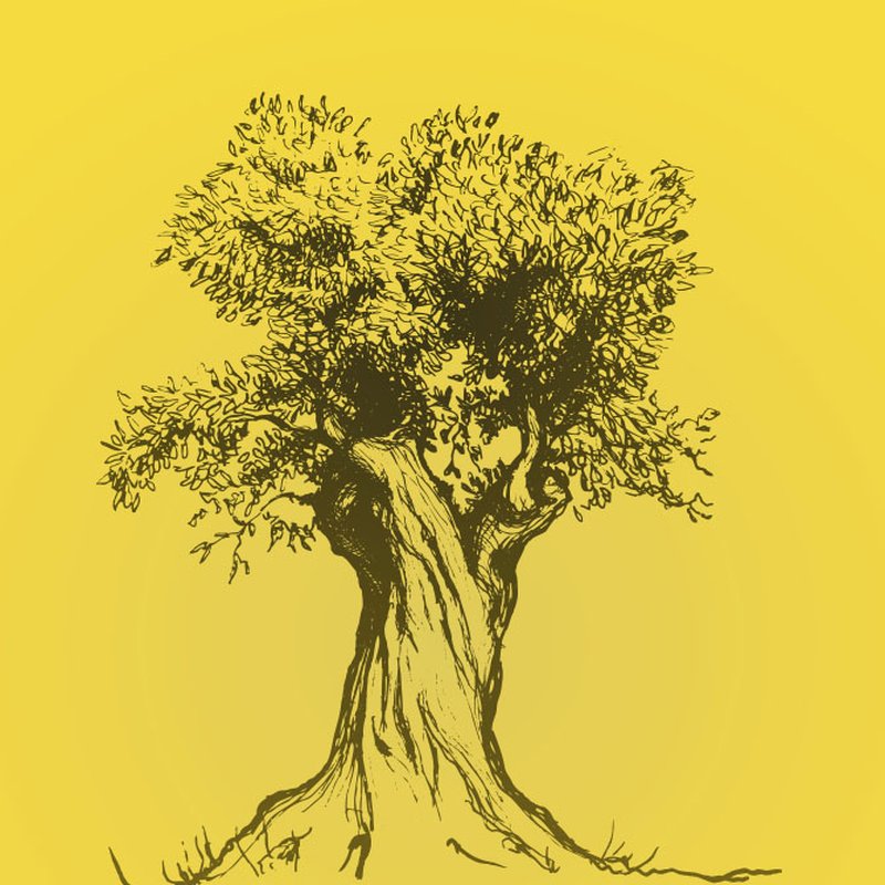 Läs Lina Nordquists novell 