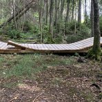 Terrängcykelbana i skogen byggd på trätrall med tydliga hopp.