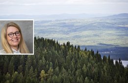 Visit Värmland lanserar ny besöksnäringswebb