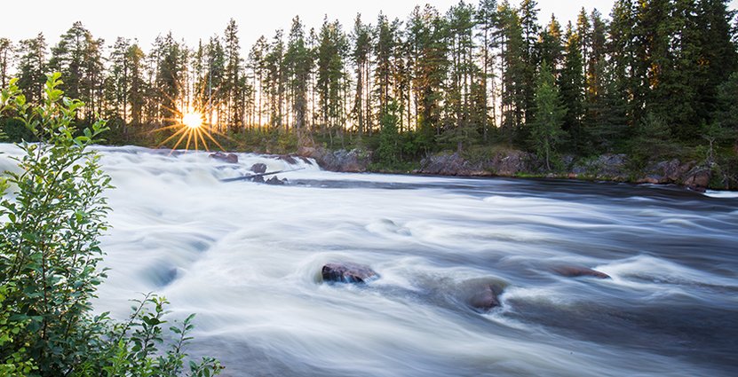 Besöksnäringen i Tornedalen oroas över EU:s beslut. Foto: Linnea Isaksson