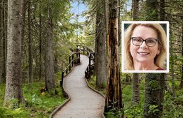 Fullmatad camping planeras i Höga Kusten: ”Drömläge”