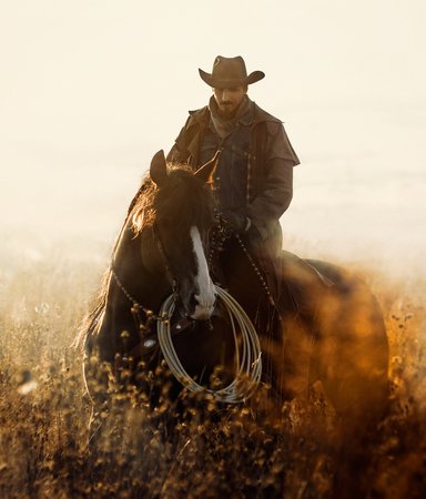 Howdy stranger! 5 riktigt bra västernskildringar