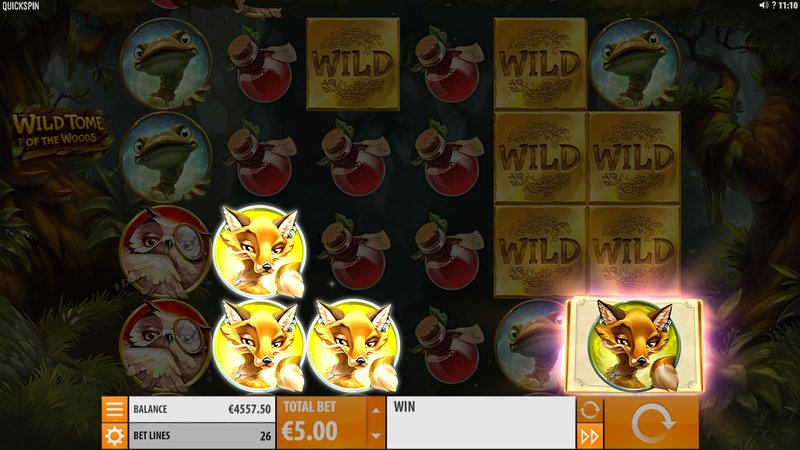 Wild Tome of The Woods — screenshot 5