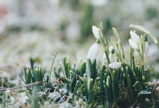 Max Ström vårens böcker 2026