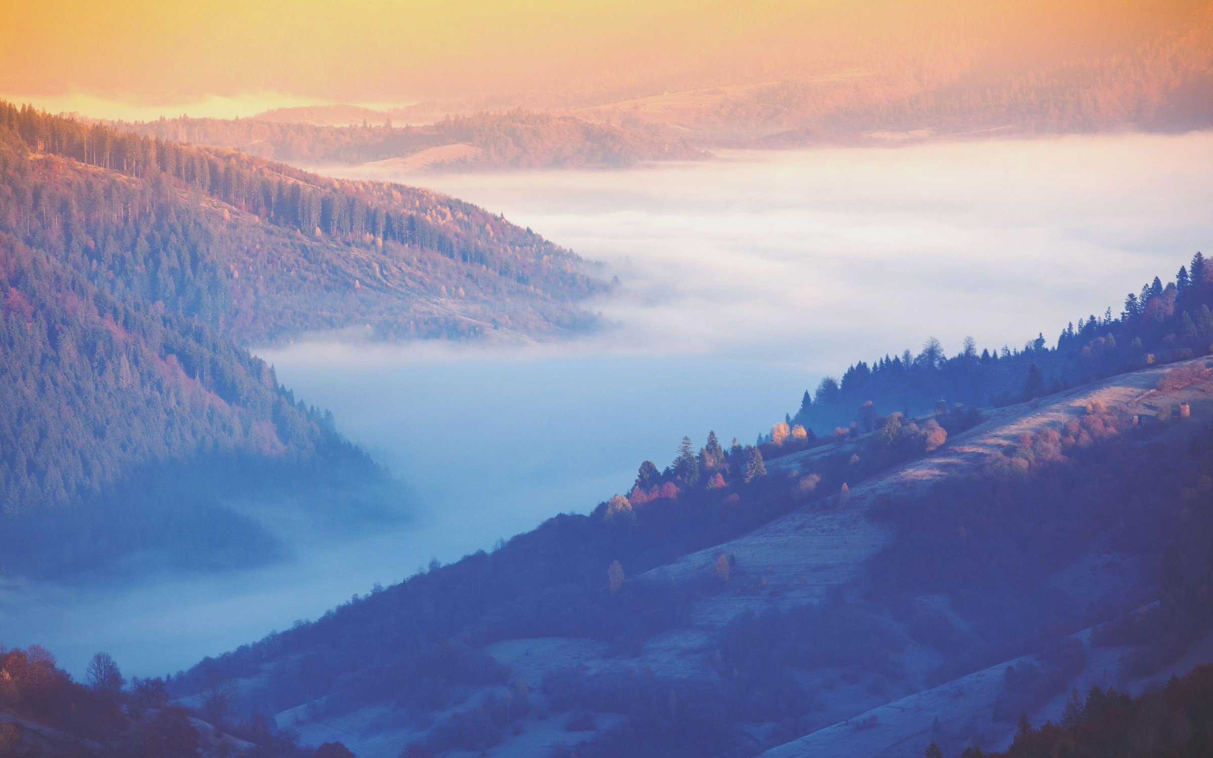 The Carpathian Mountains rising above the clouds at sunrise in Ukraine.