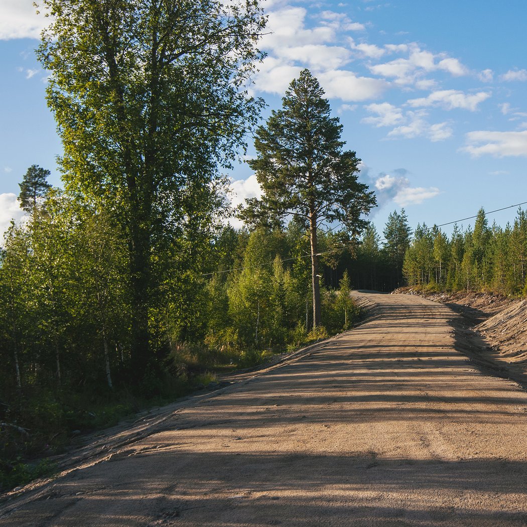 Skogsväg i Vitå