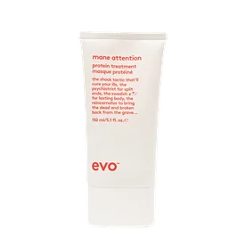 Mane attention protein treatment 150ml