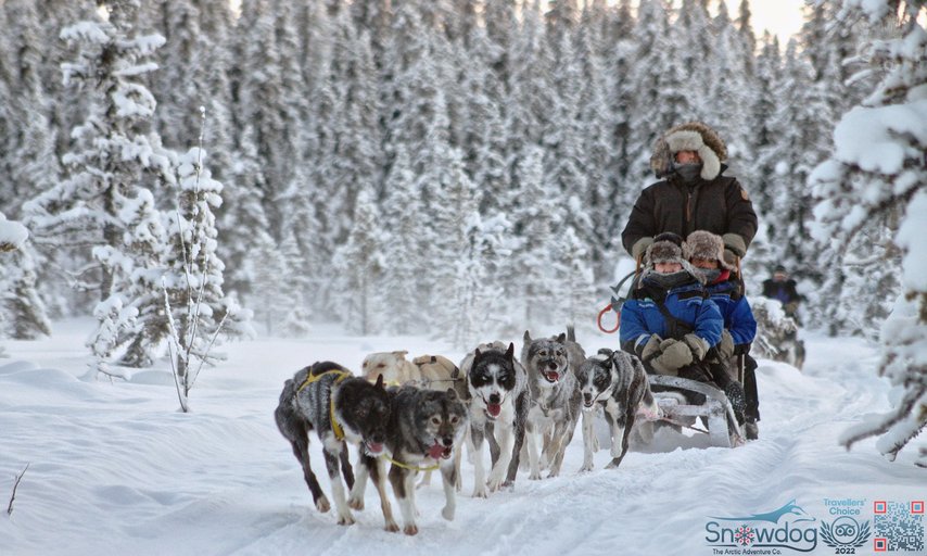 Snowdog Sunset zen husky tur