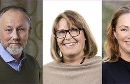 Flera skäl för att jobba för att få OS 2026