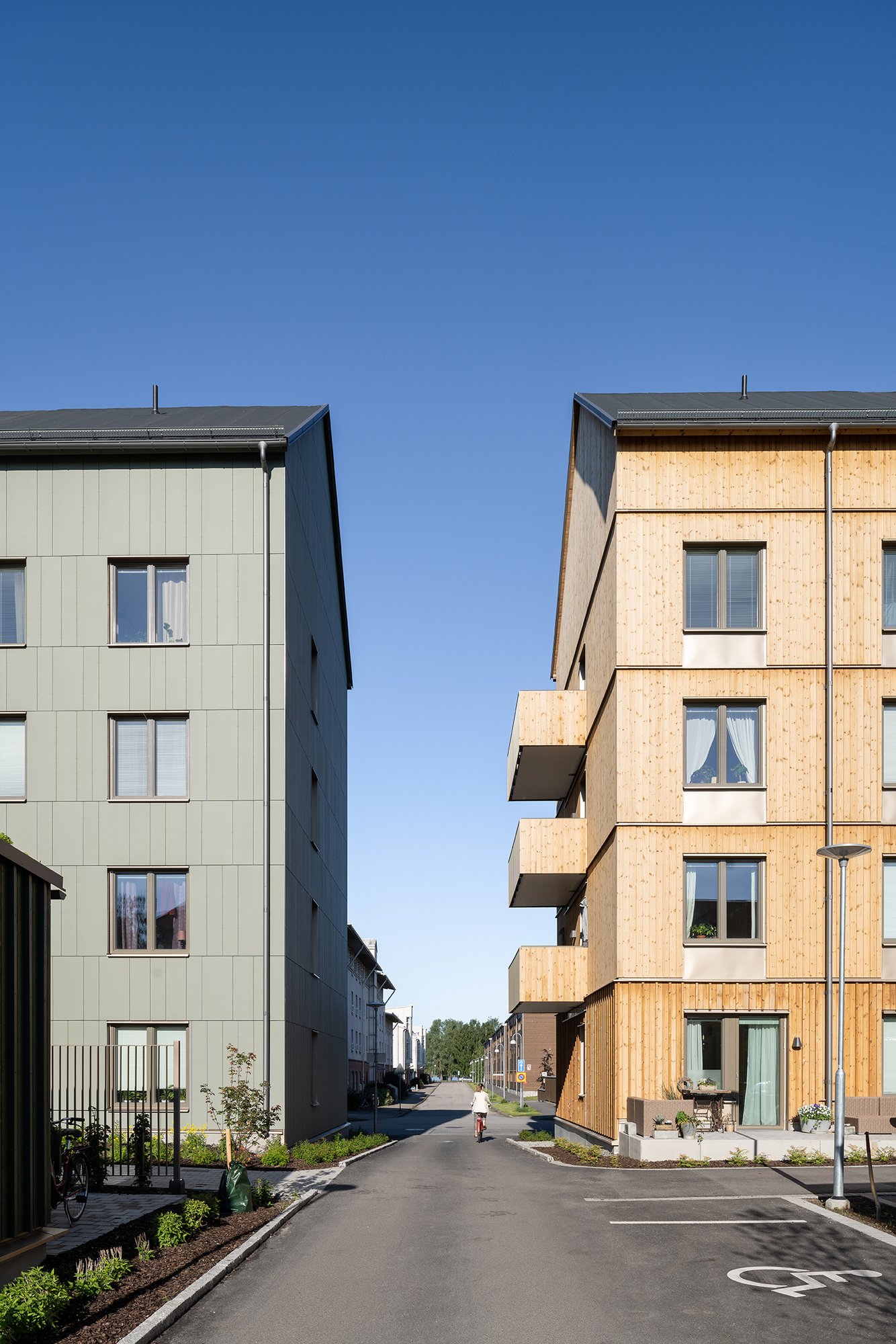 Jakten, bild 1 av 6