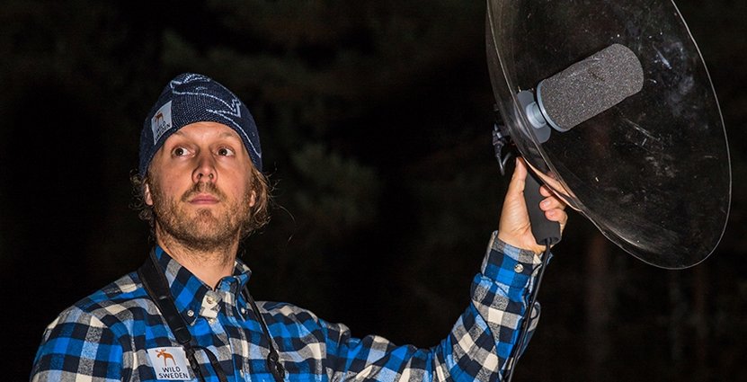 Förra året tog Markus Eldh hem priset för ekoturismsatsningen WildSweden. 