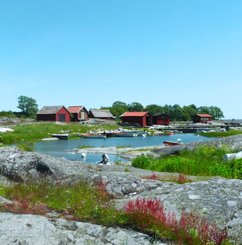 Söndagsutflykt till Svartlöga från Norrtälje