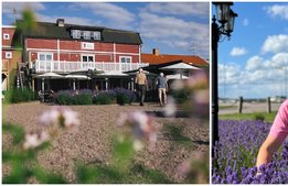Hotell Magasin1 möter sommaren i Mörbylånga