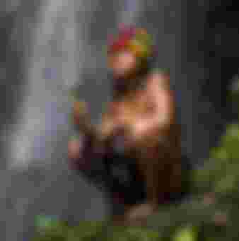 An Amazonian shaman.