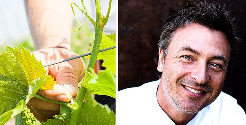 Hvilan utbildning och kocken Tareq Taylor vill skapa ett<br />
 möte mellan odling och gastronomi. Foto: Hvilan, Peter Kroon